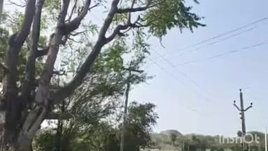अजीतमल: नौरी गांव में एचटी लाइन के तार एलटी लाइन से छूने से लगी आग, घरों का सामान जलकर हुआ राख, दो लोग झुलसे, ग्रामीणों में रोष