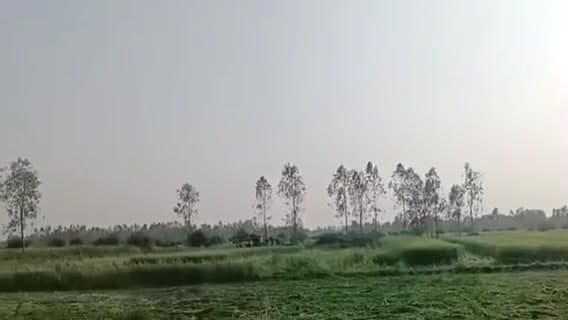 सिधौली: गोदला मऊ इलाके में अवैध अतिक्रमण पर प्रशासन की बड़ी कार्रवाई, 80 बीघा भूमि को कराया गया कब्जा मुक्त