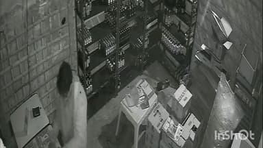 इगलास: इगलास कोतवाली के गांव मौहरैनी स्थित शराब की दुकान की छत काटकर चोरी की वारदात सीसीटीवी में कैद