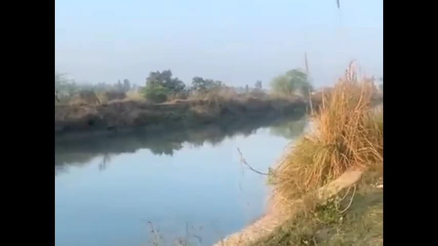 जींद: सफीदों: शादी में काम करने आया युवक नहर में डूबा