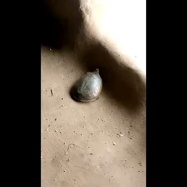 राजा दुमका झारखंड का लैंग्वेज
@@