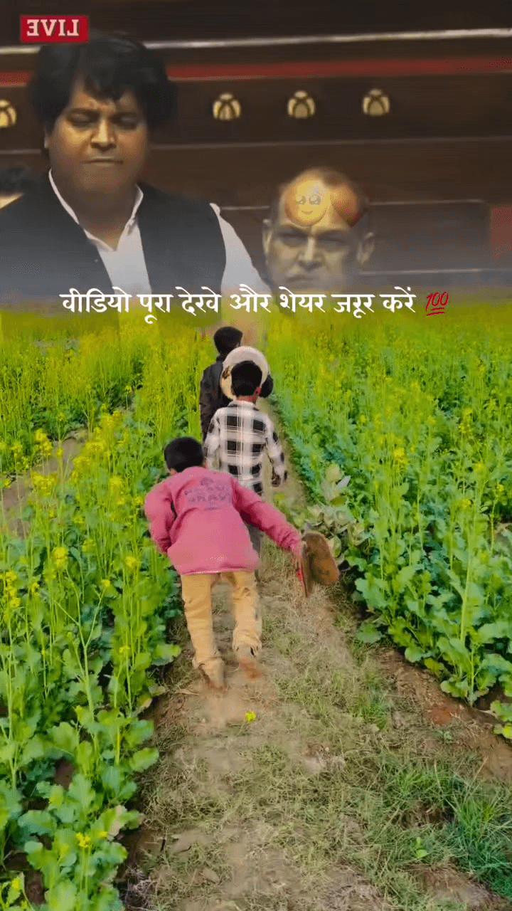 किसान है तो सब कुछ है 🚜🚜
वीडियो पूरा देखें और शेयर जरूर करें..!
#किसान#अन्नदाता