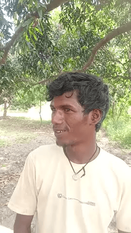 खगड़िया जिला का मानसिक प्रखण्ड में कुटिया गांव में लालमुनि यादव का बगीचा में आम आदमी आया और घर गया कृषि मंत्री से आगरा