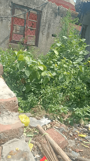 खतौली: खाली प्लॉट बना बीमारियों का घर, 
#khatauli #muzzffarnagar #KhatauliNews
#MuzaffarnagarUpdates
#PublicProblem