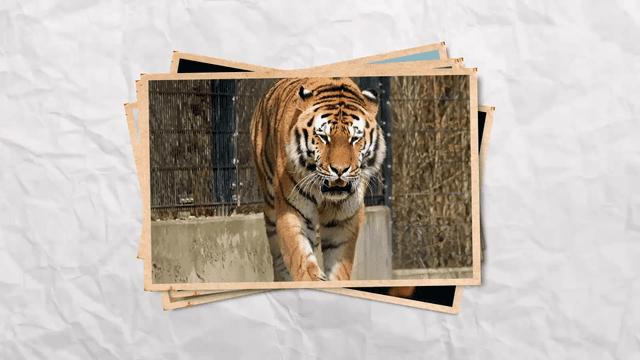 देश का पहला सोलर साइकलिंग ट्रेक शुरू
