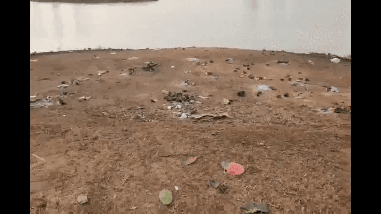 चतरा में छठ घाट पर कोयला कारोबारी की माओवादियों ने गोली मारी कर की हत्‍या #माओवादी #छठ
