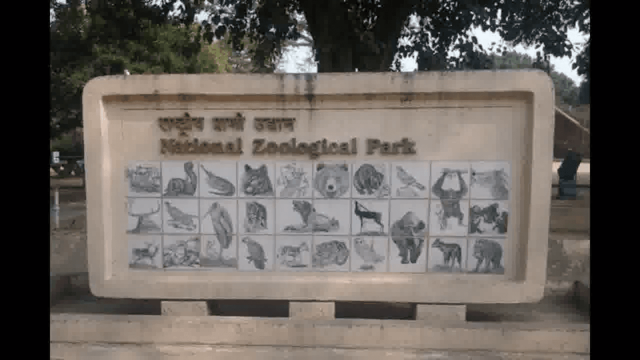 दिल्ली के चिड़ियाघर से भोपाल भेजे गए पक्षियों के 7 सीरोलॉजिकल नमूनों में पाया गया बर्ड फ्लू #बर्ड_फ्लू