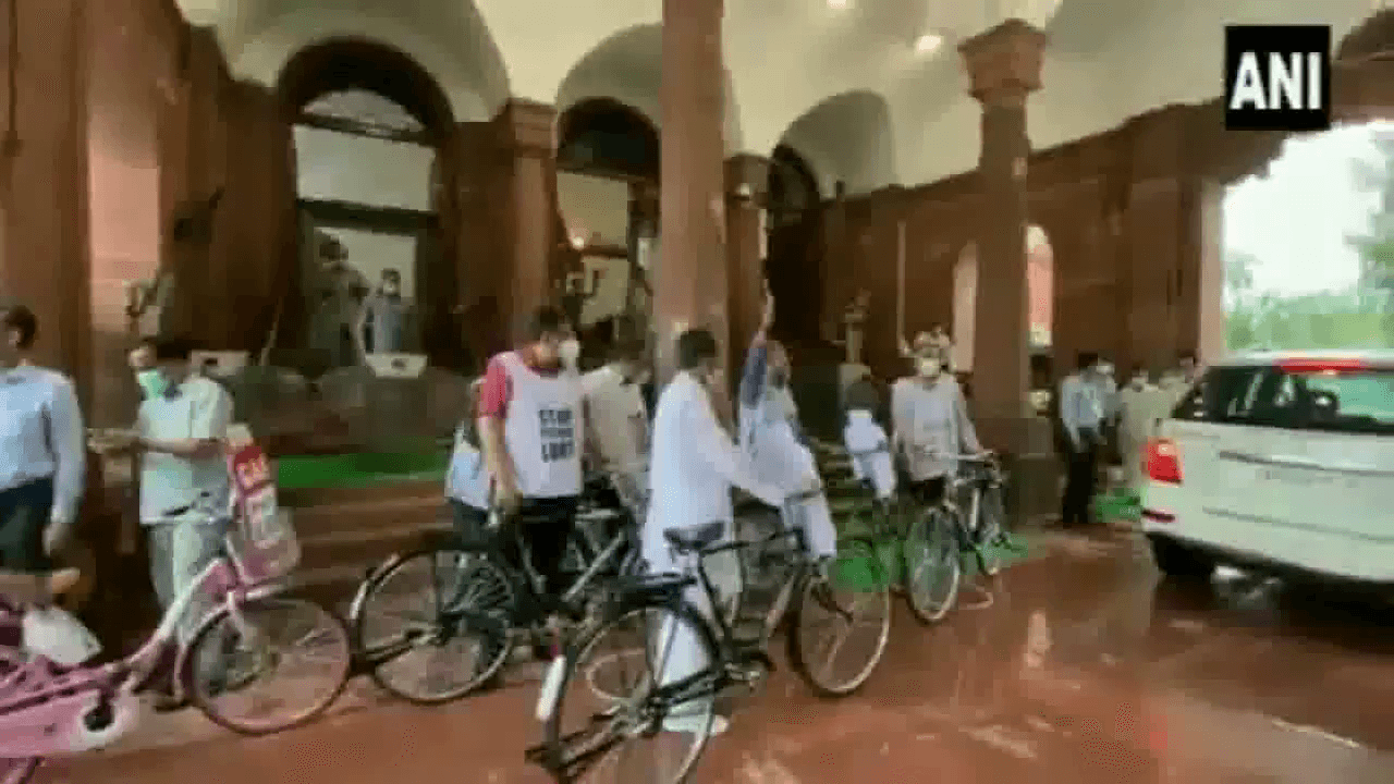 ईंधन की बढ़ती कीमतों के विरोध में साइकल से संसद पहुंचे टीएमसी के कई सांसद, वीडियो सामने आया #संसद_सत्र