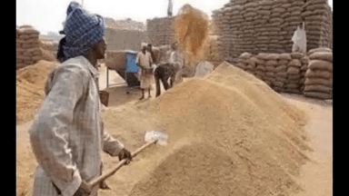 धान की खरीद को टालकर किसको फायदा पहुंचाने का षड्यंत्र रचा जा रहा है?: कांग्रेस प्रदेश अध्यक्षा कुमारी शैलजा #धान_खरीद