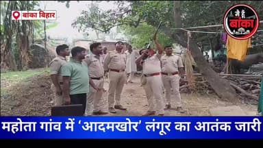 🐒🚨 महोता गांव में ‘आदमखोर’ लंगूर का आतंक जारी, पकड़ने में जुटी वन विभाग की टीम #Mahota #Amarpur #Banka #LangurTerror #Fo...