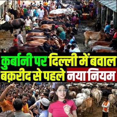 अब कुर्बानी पर दिल्ली में बवाल, बक़रीद से पहले गाइडलाइंस से मचा बवाल
#Bakrid #DelhiNews #KapilMishra #TrendingNews #Bakr...
