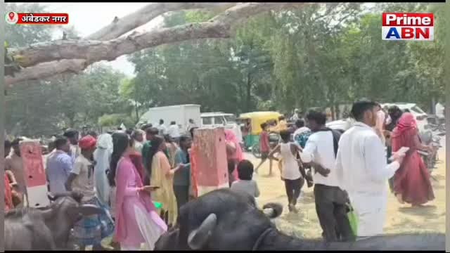 सैदापुर में अमृत सरोवर में डूबने से 13 वर्षीय किशोरी की मौत, भैंस चराने गई थी, पुलिस जांच जारी #ambedkarnagarpolice #vir...