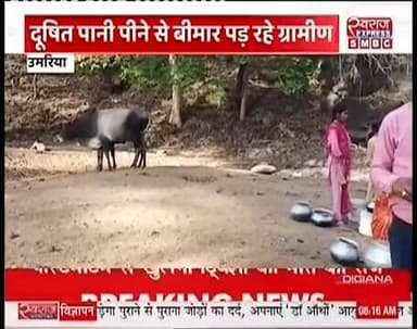 उमरिया जिले के गांजर गांव बुंद बुंद पानी को तरस रहे लोग #स्वराजexpresssmbc #BandhavgarhTigerReserve #jansmparkumaria #ja...