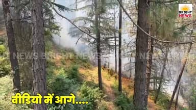 -#Bright_News_शिमला --शहर के साथ लगते रिझाना गांव में फिर भड़की जंगल की आग, रिहायशी इलाके तक पहुंची लपटें....
#BrightNe...
