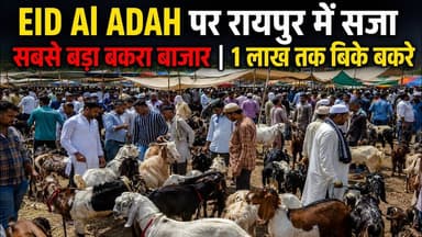 EID Al ADAH पर रायपुर में सजा सबसे बड़ा बकरा बाजार | 1 लाख तक बिके बकरे #Eid #BakraMarket