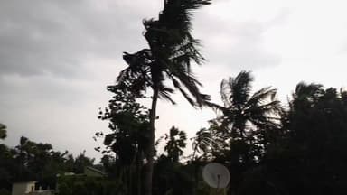 बारिश से पहले देखें किस तरह से अमरपुर में छाया था घनघोर अंधेरा। #BreakingNews #banka #अमरपुर #आंधी