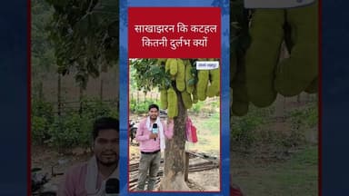 साखाझरन के आदिवासी आज भी बुनियादी सुविधाओं के लिए तरस रहें हैं!#sangharshjashpur #viralnews