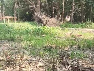 हेलो गाइस आप सब ठीक हो गया उम्मीद करता हूं कि नमस्कार आप सबको मेरे तरफ से आप सब मेरे मेरे
यहां के लोगों प्यार वीडियो व