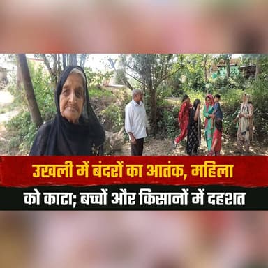 उखली में बंदरों का आ| तंक,
महिला को काटा; बच्चों और किसानों में दह| शत
#MonkeyMenace #MonkeyAttack #VillageAlert #FarmerConcerns #ChildSafety #RuralNews #WildlifeIssue #PublicSafety #BreakingNews #LocalNews #thesummernewshimachal