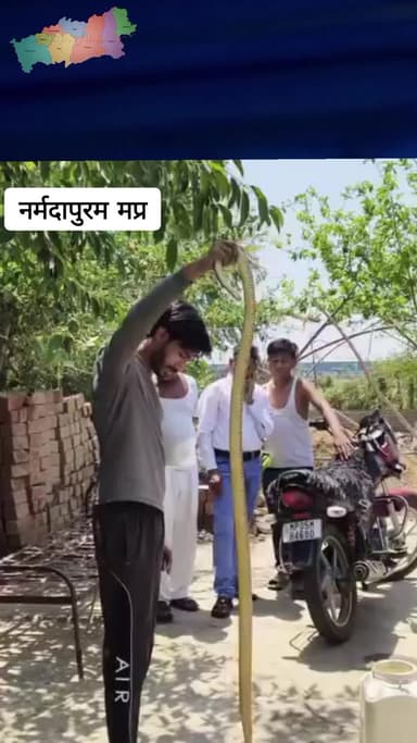 इंसानी साँपों के दौर में, असली साँपों का सच्चा दोस्त! 🐍✨
#सर्पमित्र #इटारसी #न्यूज #नर्मदापुरम #स्नैक