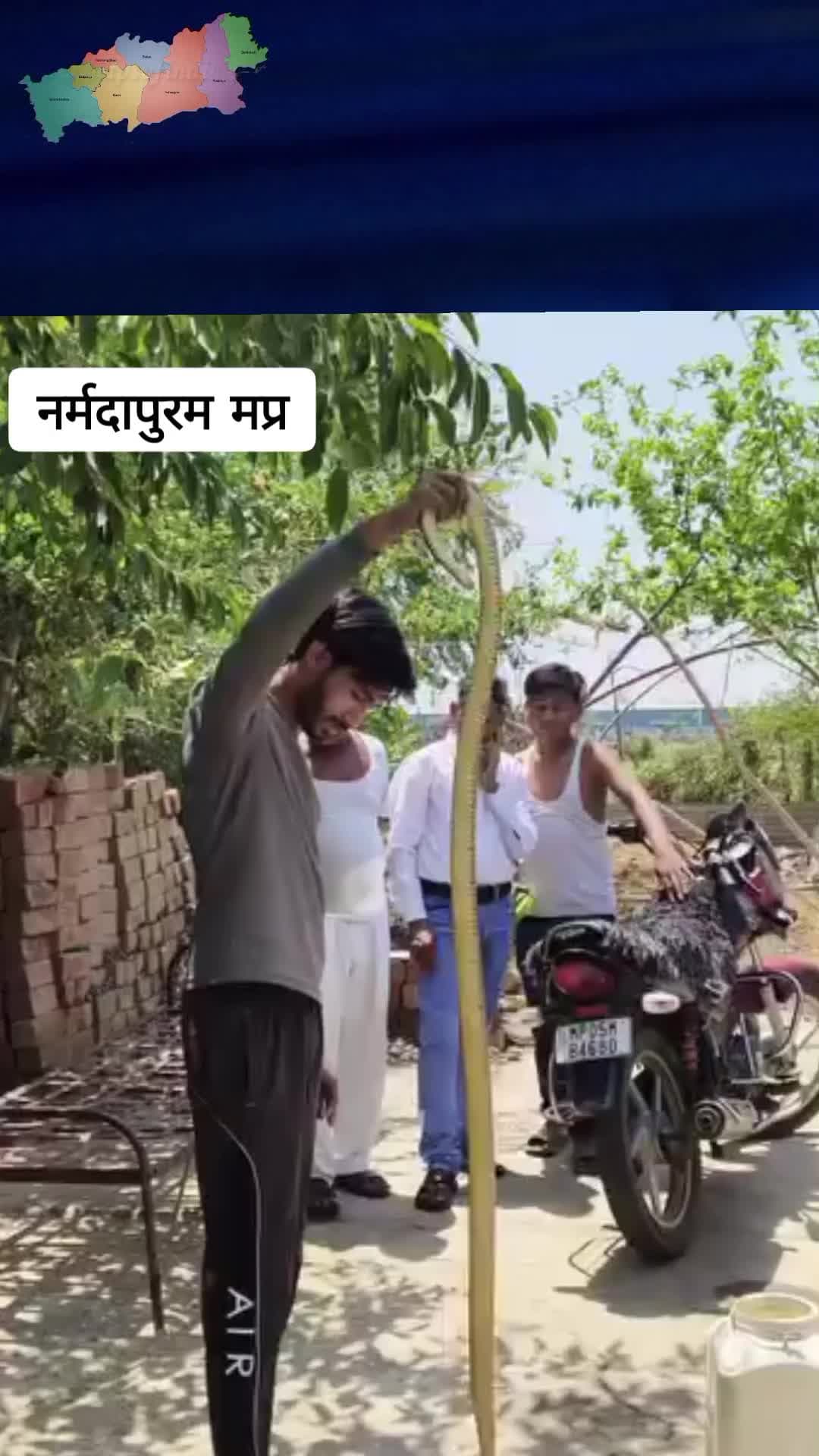 इंसानी साँपों के दौर में, असली साँपों का सच्चा दोस्त! 🐍✨
#सर्पमित्र #इटारसी #न्यूज #नर्मदापुरम #स्नैक