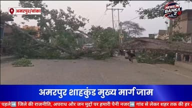 पवई यूको बैंक के पास विशाल पीपल का पेड़ गिरा, अमरपुर-शाहकुंड मुख्य मार्ग जाम।
अमरपुर से बड़ी खबर सामने आ रही है। पवई स्थित यूको बैंक के समीप गुरुवार शाम करीब 6 बजे एक विशाल पीपल के पेड़ का बड़ा हिस्सा टूटकर अमरपुर-शाहकुंड मुख्य मार्ग पर गिर पड़ा, जिससे सड़क पर आवागमन पूरी तरह बाधित हो गया।
प्रत्यक्षदर्शियों के अनुसार घटना के समय सड़क पर वाहनों की आवाजाही जारी थी, लेकिन गनीमत रही कि कोई बड़ा हादसा नहीं हुआ। पेड़ गिरते ही सड़क के दोनों ओर वाहनों की लंबी कतार लग गई और यात्रियों को काफी परेशानी का सामना करना पड़ा।
घटना की सूचना मिलते ही प्रशासन और स्थानीय कर्मी मौके पर पहुंचे तथा पेड़ को हटाकर यातायात बहाल करने की कार्रवाई शुरू कर दी। अमरपुर-शाहकुंड मार्ग क्षेत्र का एक महत्वपूर्ण संपर्क मार्ग है, जहां प्रतिदिन हजारों छोटे-बड़े वाहन गुजरते हैं।
फिलहाल पेड़ हटाने का कार्य जारी है और प्रशासन जल्द से जल्द यातायात सामान्य करने में जुटा हुआ है। #Amarpur #Banka #BreakingNews #TrafficJam #UCOBank #ShahkundRoad #BiharNews