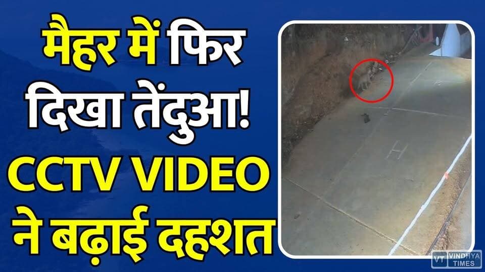 मैहर में तेंदुए का आतंक, CCTV में कैद हुई तस्वीर, मचा हड़कंप
#Maihar #LeopardAlert #CCTVFootage #BreakingNews #MaiharNews #MaaShardaTemple #LeopardSpotted #WildlifeNews #MPNews #ForestDepartment #ViralVideo #AnimalAlert #PublicSafety #LeopardInMaihar #MadhyaPradesh #ShardaDham #WildlifeAlert #NewsUpdate #TrendingNews #MaiharUpdate