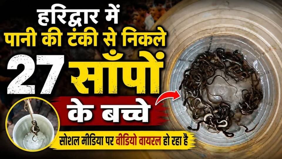 #हरिद्वार में चौंकाने वाला रेस्क्यू, पानी की टंकी से निकले #27_सांपों के बच्चे; #सोशल_मीडिया पर वीडियो वायरल......