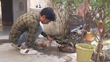 भीषण गर्मी का असर सिर्फ इंसानों पर ही नहीं, बल्कि बेजुबान पक्षियों पर भी पड़ रहा है। आज तेज धूप और गर्मी के कारण एक पक्षी कमजोर होकर जमीन पर गिर पड़ा। उसे देखकर तुरंत पानी उपलब्ध कराया गया, जिसके बाद कुछ ही देर में पक्षी को राहत मिली और वह सामान्य होने लगा।
अपील: इस भीषण गर्मी में अपने घर की छत, बालकनी या आसपास किसी सुरक्षित स्थान पर पक्षियों के लिए पानी का बर्तन अवश्य रखें। आपकी छोटी सी पहल कई बेजुबान जीवों के लिए जीवनदायिनी बन सकती है।
#SaveBirds #BirdsNeedWater #BeatTheHeat #SummerCare #WaterForBirds #BirdLovers #NatureCare #KindnessMatters #HelpBirds #AnimalWelfare