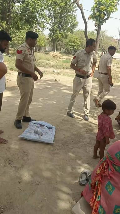 मतलौड़ा में पकड़े गए मोर खाकर