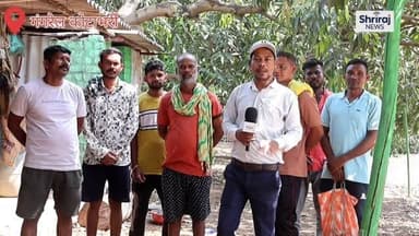 धमतरी गंगरेल से लगे हुए ग्राम कोटाभरी में तेंदुआ आतंक रात में बछड़े किया शिकार ग्रामीणों में भय का माहौल
#धमतरी #न्यूज #वायरल #तेंदुआ