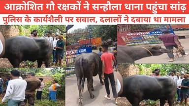 आक्रोशित गौ रक्षकों ने सन्हौला थाना पहुंचा सांड
पुलिस के कार्यशैली पर सवाल,दलालों ने दबाया था मामला #BhagalpurPolice #jio #NewsUpdate #bhagalpur #BreakingNews #viralnews #seatbelt #JioWorldPlaza
