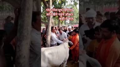 गोल गोल घूम रही गाय को देखने पहुंचे डॉक्टर कही ये बात #farmerscrisis #narendrasinghtomar