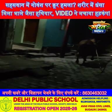 सहसवान में गोवंश पर क्रूर हमला? शरीर में धंसा मिला भाले जैसा हथियार, VIDEO ने मचाया हड़कंप! #Sahaswan #Badaun #CowCruelty #Gauvansh #AnimalCruelty #ViralVideo #BreakingNews Vikendra Sharma Er Rana Pratap Singh Anirudha Mishra