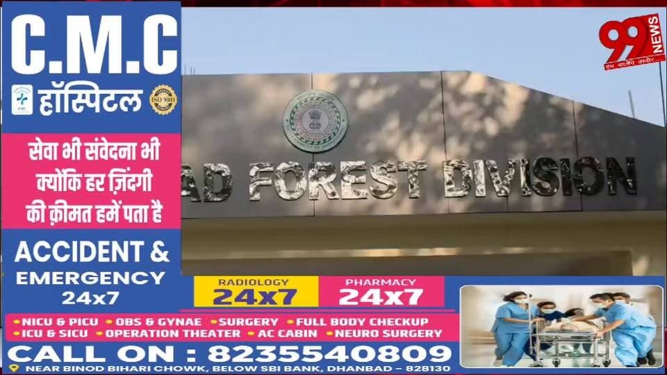 #धनबाद : #टुंडी के #जंगलों में 30 #हाथियों की #दस्तक, #वन #विभाग #अलर्ट #मोड पर