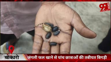 #बोकारो : #जंगली #फल #खाने से #पांच #छात्राओं की #तबीयत #बिगड़ी, #अनुमंडलीय #अस्पताल #बेरमो में #भर्ती