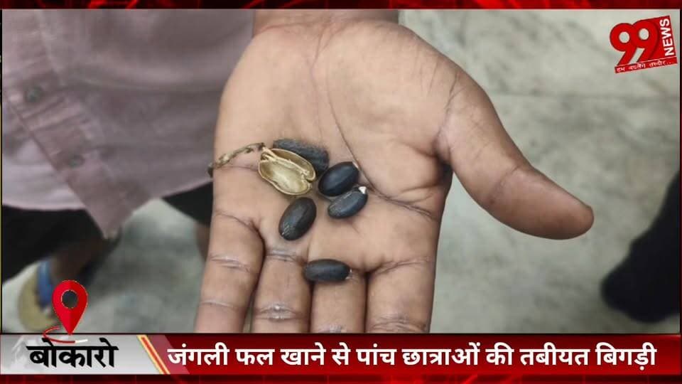 #बोकारो : #जंगली #फल #खाने से #पांच #छात्राओं की #तबीयत #बिगड़ी, #अनुमंडलीय #अस्पताल #बेरमो में #भर्ती