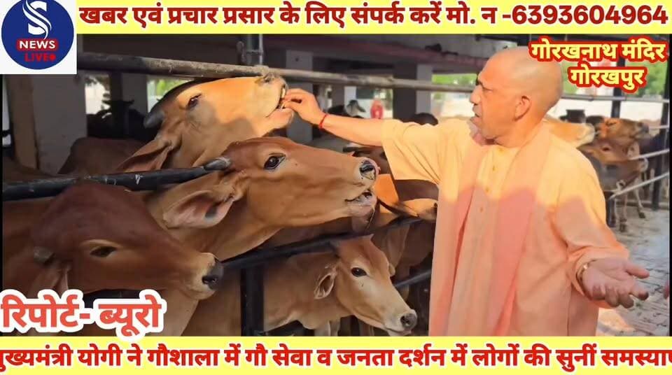 #गोरखनाथ मंदिर गोरखपुर में #मुख्यमंत्री योगी आदित्यनाथ ने #गौशाला में गौ सेवा की तदुपरांत #जनता दर्शन में लोगों की सुनीं #समस्याएं निस्तारण के लिए #अधिकारियों को दिए निर्देश