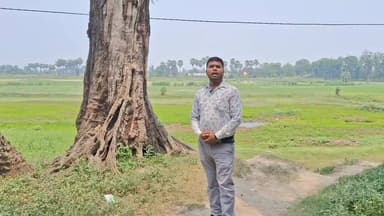 अंग्रेजों के समय का बताया जाने वाला यह पेड़ आज भी जिंदा है! 🌳
80 साल बाद भी इसकी कहानी लोगों को हैरान कर रही है।
#ViralNews #OldTree #History #BritishEra #AmazingFacts #BiharNews #LocalStory