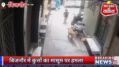 उत्तर प्रदेश में #बिजनौर में आवारा कुत्तों के झुंड ने एक मा,सूम बच्चे पर ह,म,ला कर दिया।
✍️ घा,य,ल बच्चे को उपचार के लिए अस्पताल में भर्ती कराया गया है। स्थानीय लोगों की तत्परता से उसकी जान बच पाई।
#Bijnor