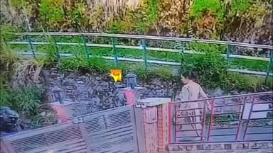 संजौली मनीषा मर्डर केस: CCTV में कैद हुई वारदात, ऐसे बरसाईं गोलियां #viral #viralreelschallenge #allfollowers #HimachalPradesh #Himachalnews #policeofficer #himachalpolice #video #हिमाचल #Hamirpur #followerseveryone #Congress #highlightseveryonefollowers #trendingreels #karsogvibes #reelsindia #police