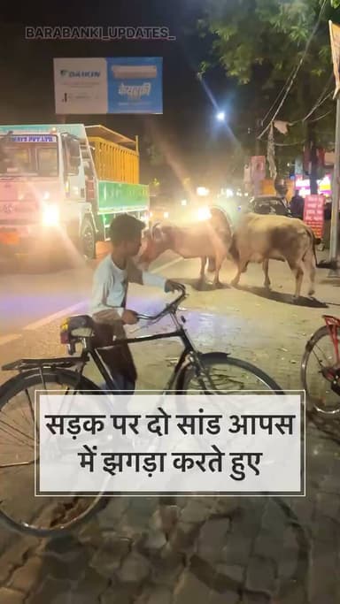 *सड़क पर दो सांड आपस में झगड़ा करते हुए*
#बाराबंकी #सड़कसुरक्षा