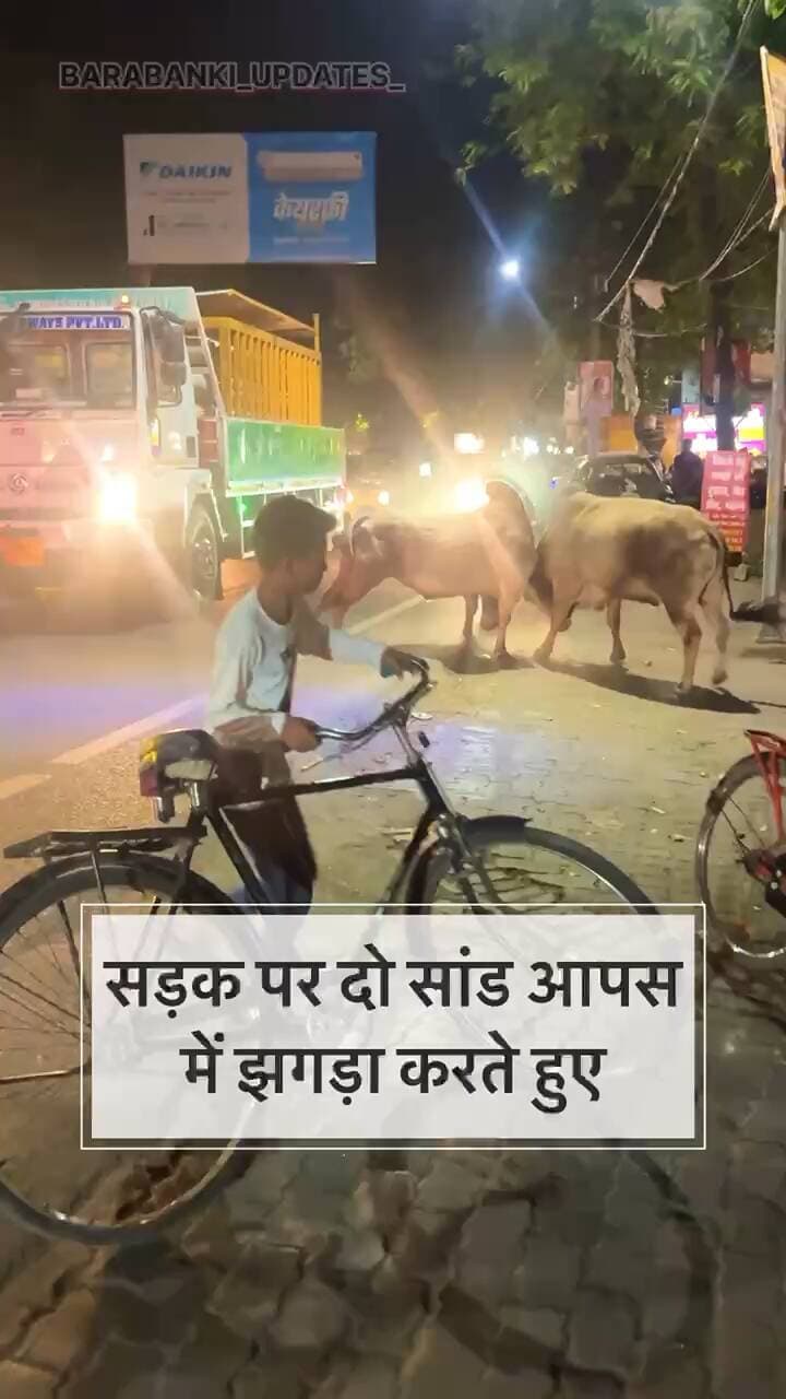 *सड़क पर दो सांड आपस में झगड़ा करते हुए*
#बाराबंकी #सड़कसुरक्षा