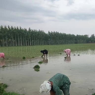 हरियाणा /यमुनानगर /PM किसान सम्मान निधि की 23वीं किस्त जारी, 9.44 करोड़ किसानों के खाते में पहुंचे 18,880 करोड़ रुपये
#PMKisan #PMKisanSammanNidhi #Farmers #Agriculture #DBT #KisanYojana #NarendraModi #IndianFarmers
