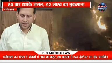 धर्मशाला वन मंडल में जंगलों में आग के 80 मामले दर्ज, 347 हेक्टेयर वन क्षेत्र प्रभावित और 92 लाख रुपये के नुकसान का अनुमान। वन विभाग ने लोगों से घासनियों में आग लगाने से बचने की अपील की है।
#Dharamshala #ForestFire #HimachalPradesh #Kangra #ForestDepartment #BreakingNews #EkNazarHimachalNews #HimachalNews #Wildfire #EnvironmentNews