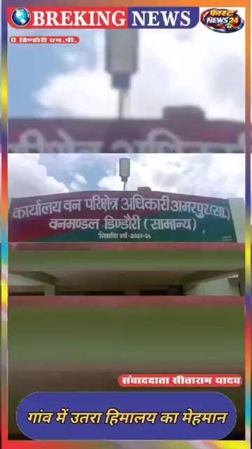 पैर में टैग,पीठ पर कैमरा...डिंडौरी के गांव में पहुंचा दुर्लभ हिमालयन गिद्ध @fastnews24mpcg