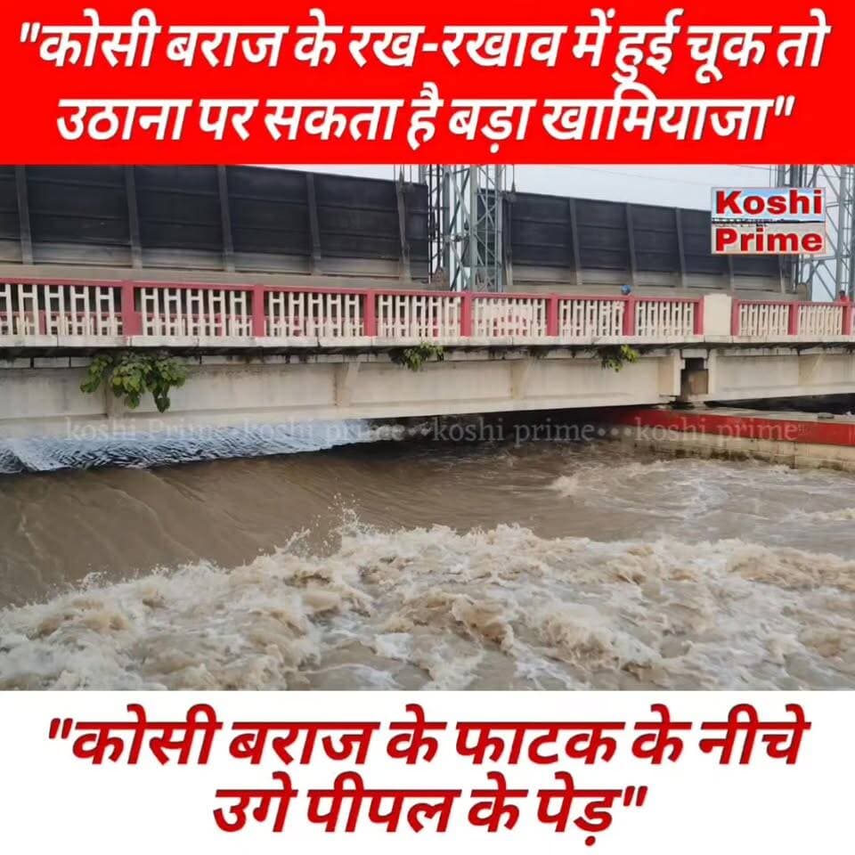 कोसी बराज के रख रखाव में हुई चूक तो उठाना पर सकता है बड़ा खामियाजा,
-----सभी फाटक के नीचे उगे पीपल के पेड़!
#BreakingNews #koshibarrage #NewsUpdate #kosiriver #newsfeed #LatestUpdate #fbpost