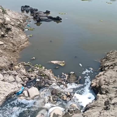 यमुनानगर में प्रदूषण पर बड़ा एक्शन! यमुना में गंदा पानी छोड़ने वालों पर होगी सख्ती।
Youtube link 🖇️
https://youtube.com/shorts/ZVfn7lXinyE?si=Mm-xW3uO_nKGKsQL
#Yamunanagar #BreakingNews #PollutionAlert #Yamuna #HaryanaNews #Environment #ViralNews #YamunaActionPlan