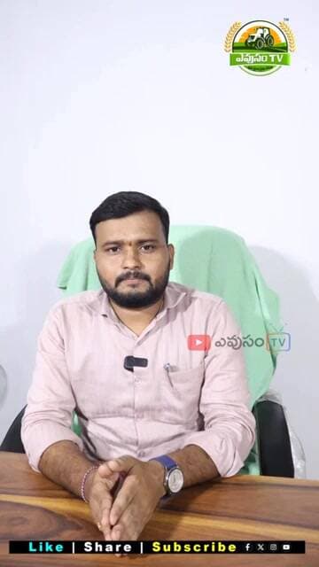 బోనస్ వచ్చే RNR 15048 వరి రకం పూర్తి వివరాలు || తెలంగాణ సోనా ప్రత్యేకతలు || Evusam Tv