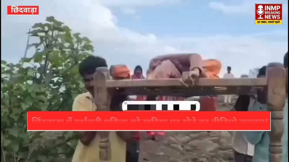 सरकारी दावों पर सवाल: छिंदवाड़ा में गर्भवती महिला को खटिया पर ढोने का वीडियो वायरल
#छिंदवाड़ा #मध्यप्रदेश #MPBreakingNews #BreakingNews #गर्भवतीमहिला #एम्बुलेंस #स्वास्थ्यव्यवस्था #ग्रामीणभारत #ViralVideo #MohanYadav #Chhindwara #MPNews #HindiNews #GroundReality #NewsUpdate
न्यूज सिवनी ब्रेकिंग
